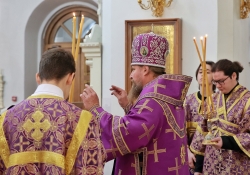 Хиротонии в Петропавловском храме 