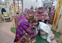 Хиротонии в Петропавловском храме 