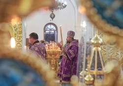 Хиротонии в Петропавловском храме 