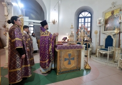 Хиротонии в Петропавловском храме 