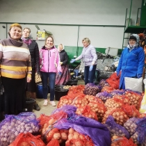 Прихожане перебирают урожай картофеля
