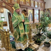 Архиерейское служение в праздник Входа Господня в Иерусалим на архиерейском подворье