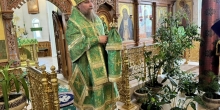 Архиерейское служение в праздник Входа Господня в Иерусалим на архиерейском подворье